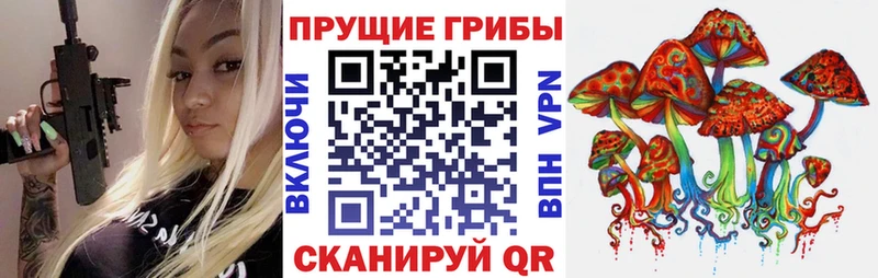 наркота Куровское Галлюциногенные грибы мицелий