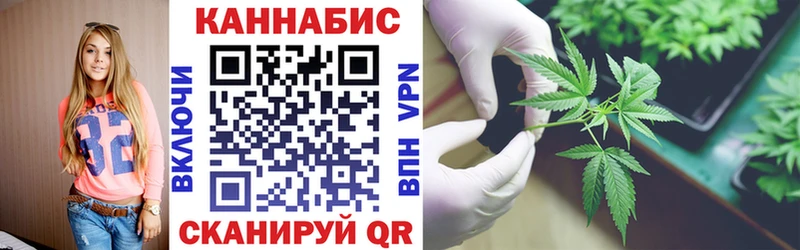 Каннабис план Куровское