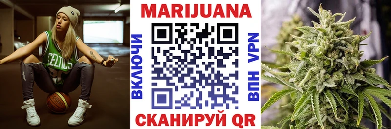 Конопля гибрид как найти Куровское